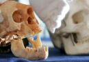 Τα οστά των αρχαιότερων homosapiens είναι παλαιότερα από ό,τι πιστεύαμε