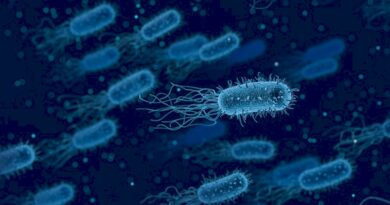 Τα αρχαία βακτήρια θα μπορούσαν να βοηθήσουν στην εύρεση ζωής σε άλλους πλανήτες
