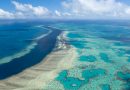ΟΗΕ: Ο Μεγάλος Κοραλλιογενής Ύφαλος πρέπει να μπει στον κατάλογο της παγκόσμιας κληρονομιάς, κινδυνεύει