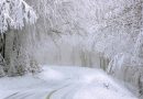 Στη Βουλγαρία, εκατοντάδες χιλιάδες άνθρωποι μένουν χωρίς ρεύμα λόγω του χιονιού και του ανέμου